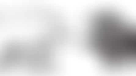 La fabuleuse histoire de l’ours (7), les carnets de JJS, page 29