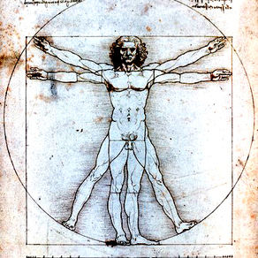 4 éléments + 1 pour les installer dans une roue