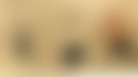 Neuvième promenade du 26 mars 2025, Groupe d’échanges autour de la culture et de la pensée chinoises