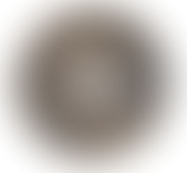 Une monnaie chinoise, les carnets de JJS, page 70