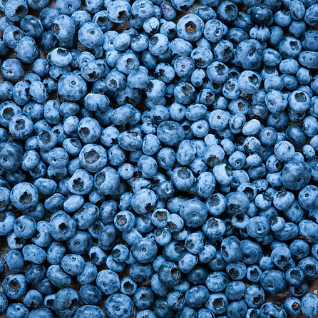 blueberries-close-up-2021-08-26-15-34-56-utc.jpg