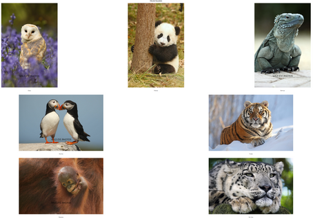 "Wild Eye Wildlife" with Drew Burnett, Thursday 30th April, 2026