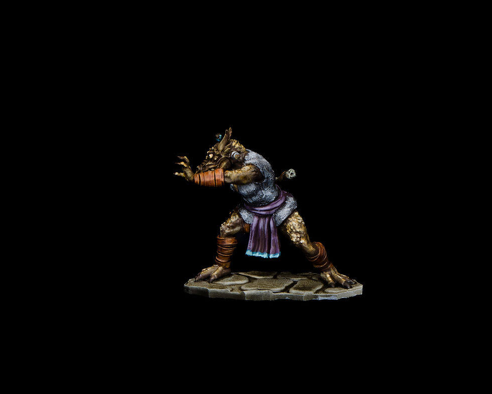 Thumbnail: Dragonborn Female Monk