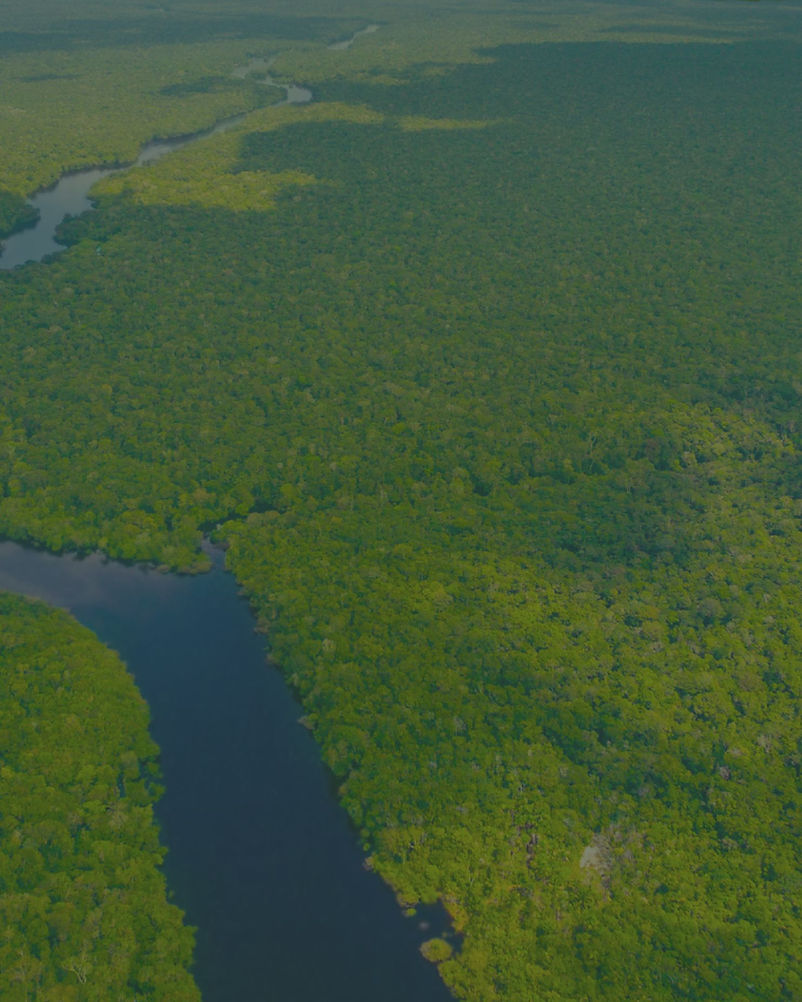 EMPÓRIO DO NORTE DISTRIBUIDORA DE ALIMENTOS - CADEG - PRODUTOS DO PARA E AMAZONAS.jpg