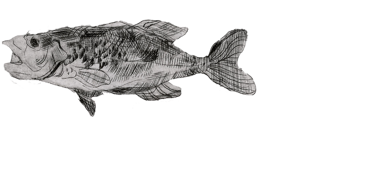 Image (90).png