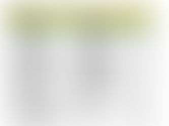 Schlussfeier Fasnachtsumzug 2023