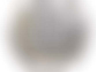 Fasnachtsplakette 2023 - jetzt Vorschläge einreichen!