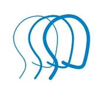 Writer: Lee Jenkins, Director