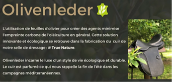 olivende.png