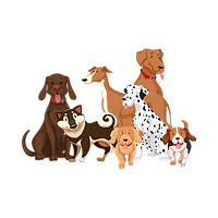 SOCIABLE DOGS DOG DAYCARE