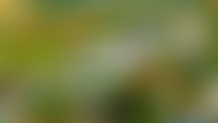 Day in the Life: Athlete at Nichols College