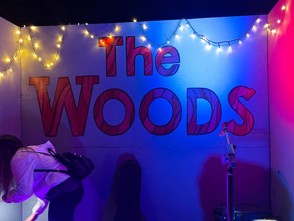 TheWoods_Backdrop_TiranjiniPillai.JPEG