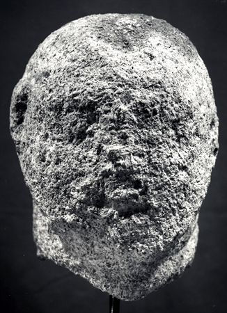 cabeçalusitanoguarda.jpg