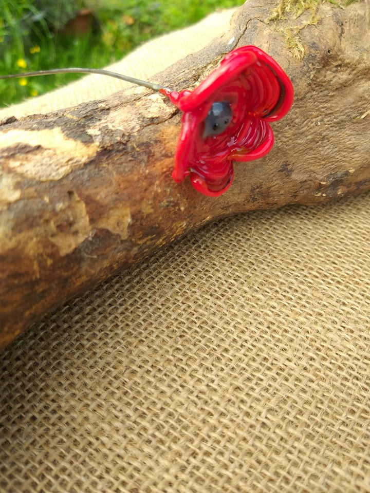 Fleur avec tige coquelicot rougeâtre