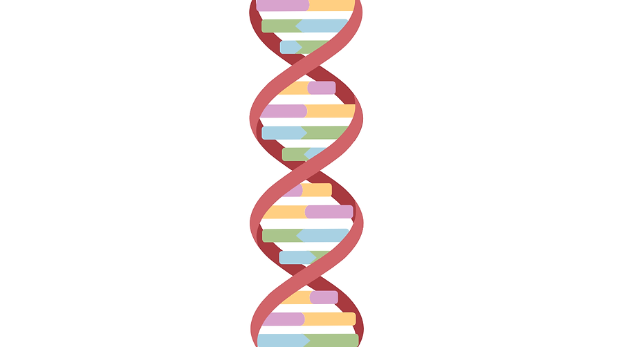 DNA Strand.png