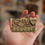 Thumbnail: ✨ Wooden Engraved Kashi Ghat & Vishwanath Mandir Magnet Set Of 4🌸