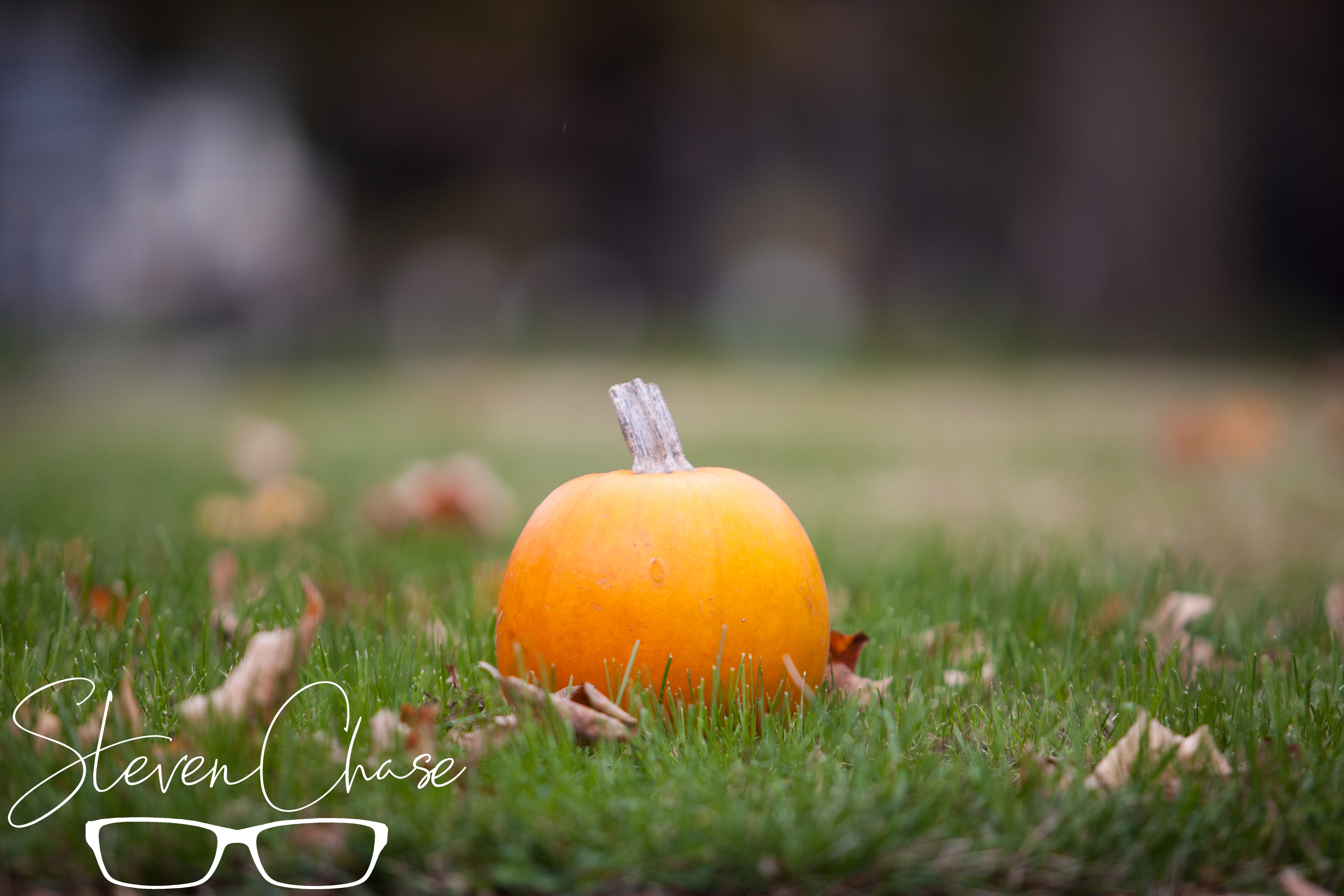 Lil Pumpkin