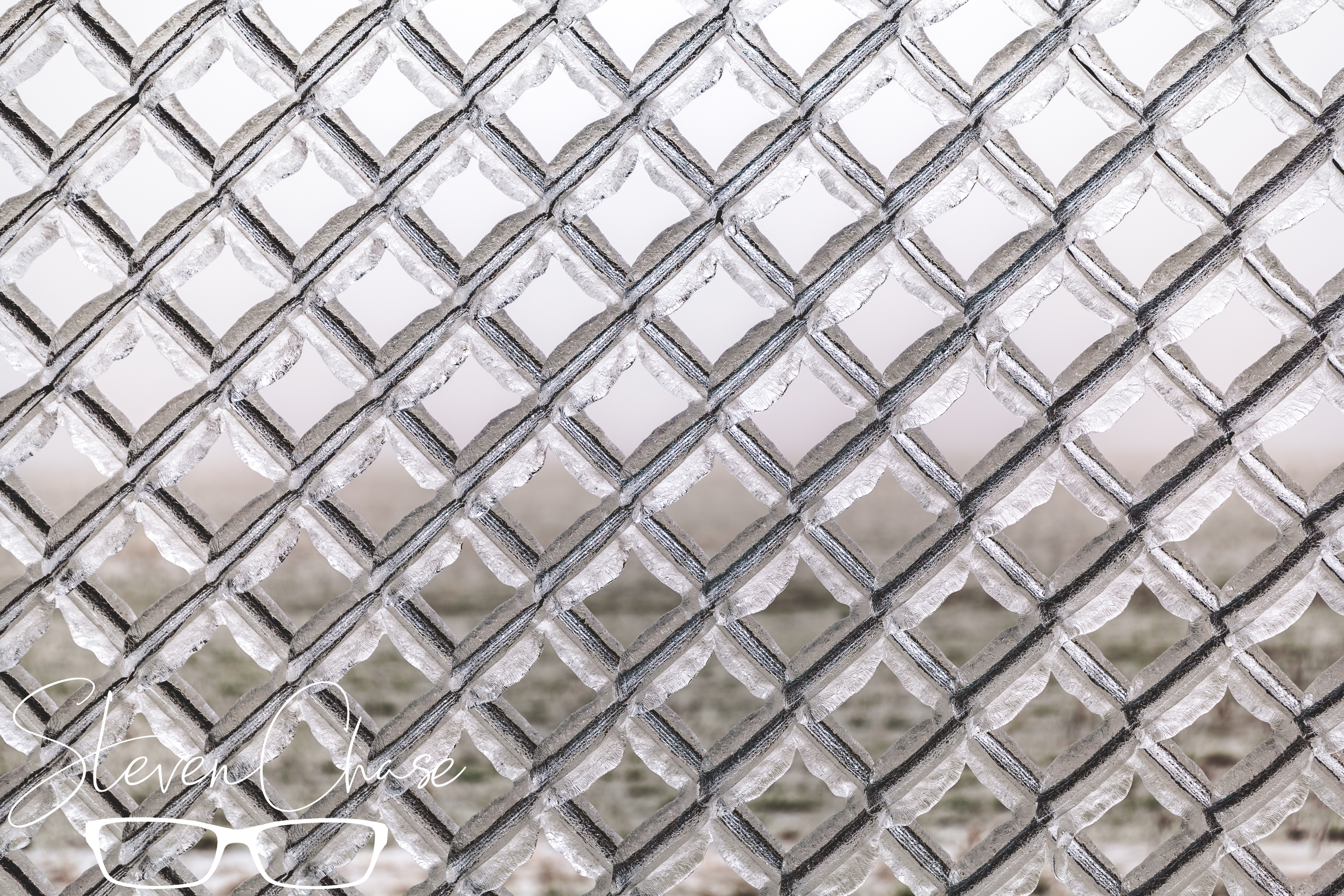 Frozen Fence