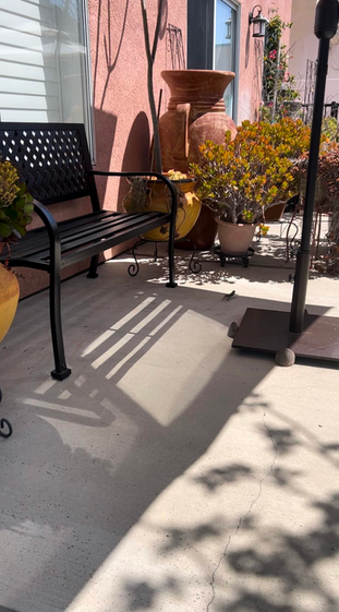 Tiny Garden Helpers That Boost Property Value: A Landlord's Guide to Beneficial Insects