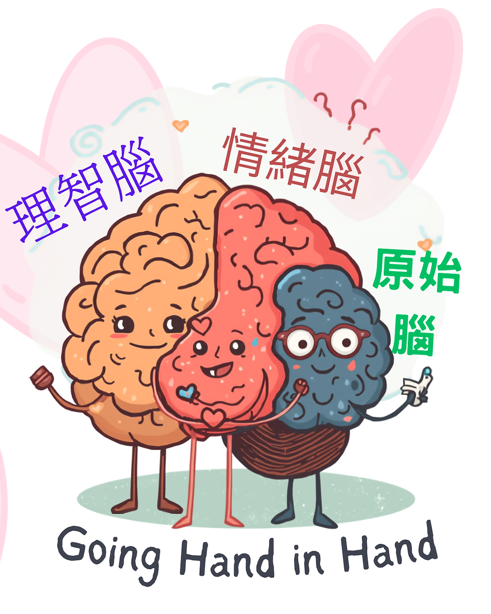 三腦合一