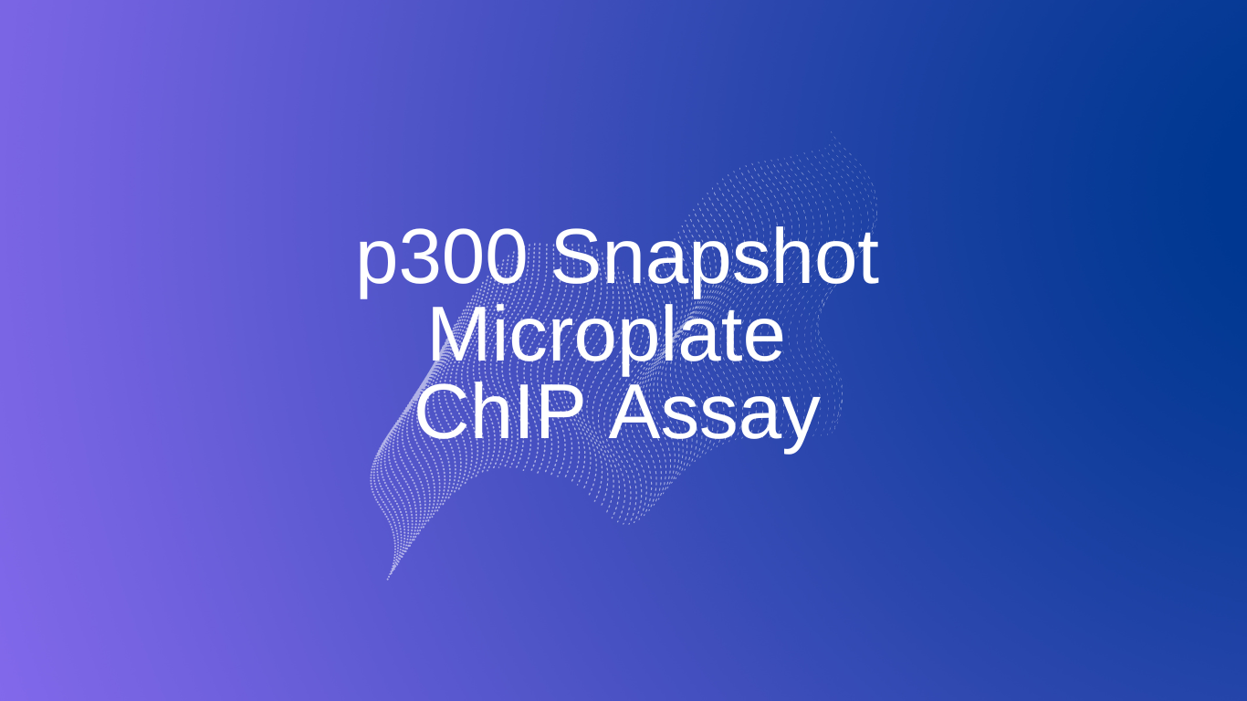 p300 Snapshot Microplate ChIP Assay