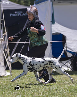 Best Neuter In Group