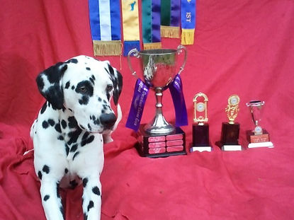 Makybe, CCD Title & Highest Score