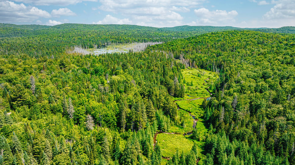 67.7 Acres | Sub-Divisible Land | Natural Beaver Dam Lake | Chertsey | Lanaudière