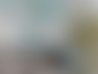 Decorative finishes in Sydney