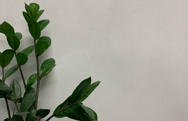 Marmorino
Venetianplaster Art & Style | Gems venetian Plaster | SydneyCustom colour stencil Microcement is one of the famous and artistic finishes in Venetian Plaster finishes | done by Gems venetian Plaster the job is located in #paddington
| Sydney | Gems venetian Plaster | Sydney | Gems venetian Plaster | Sydney | Gems venetian Plaster | Sydney Gems venetian Plaster | Sydney
Venetian plaster
sydney
paddington
Microcement