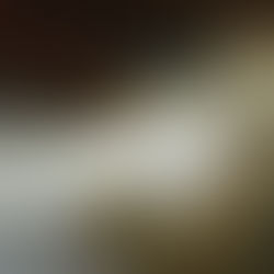 Best Venetian Plaster Walls Sydney: Timeless Elegance for Every Interior