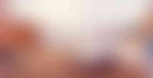 Exhibition room with orange walls, display panels, and a central model on a wooden table. Colorful posters and plant decor create a vibrant mood.