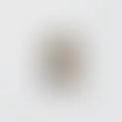 Participation Badge : IF