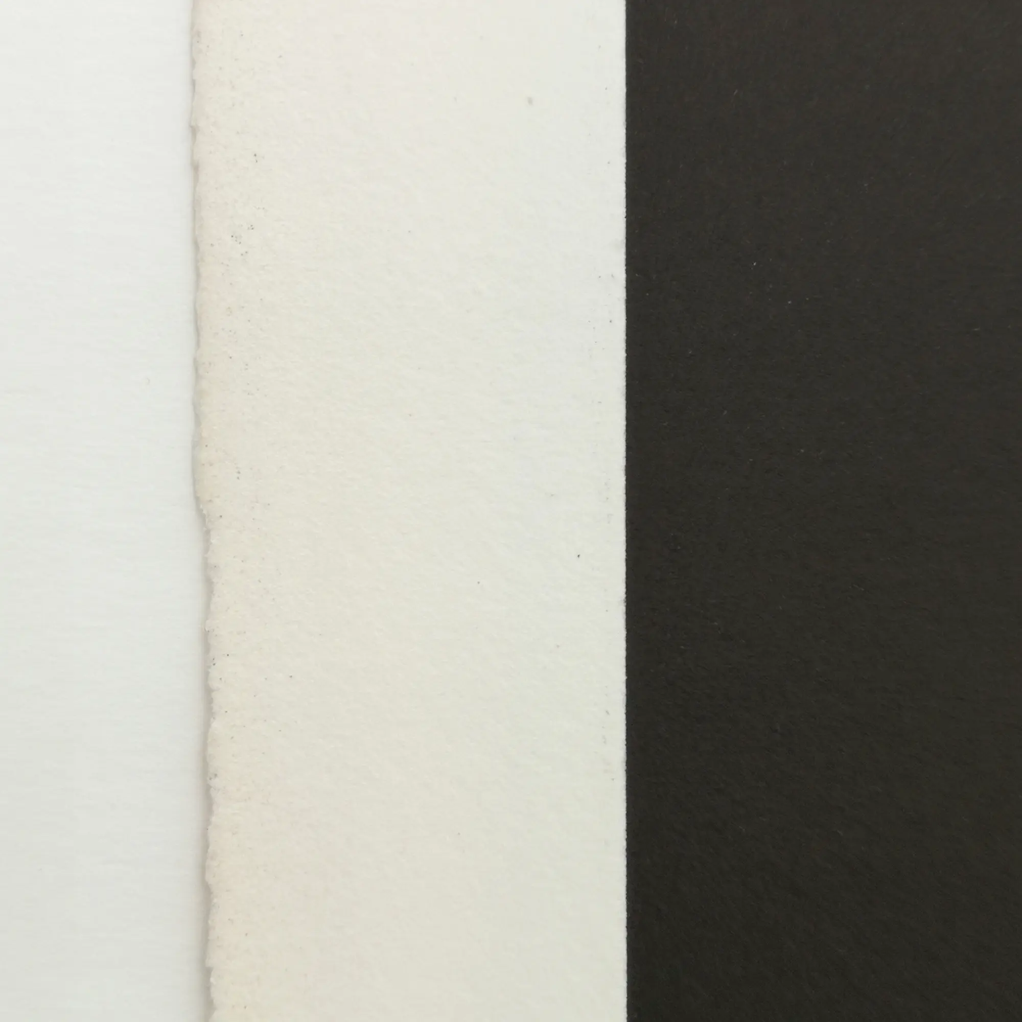 Close-up of a textured paper with a clean vertical divide. Left is off-white, right is black. Minimalist and balanced composition.