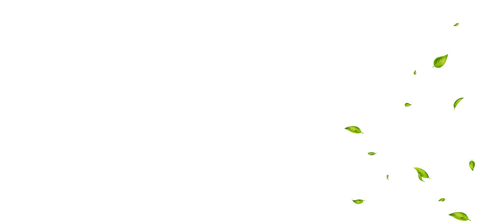leaf background