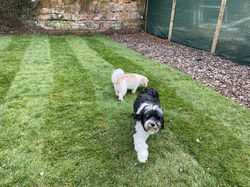 336675247_226261449914832_7765961011191937105_n