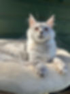pic15.jpg