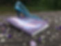 THE STEP-SPINSTERS Paperback Shot 2.jpg