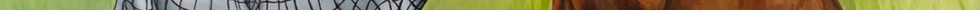pexels-cottonbro-5771803_5.jpg