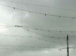 rain