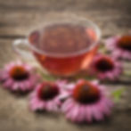 Echinacea Tea