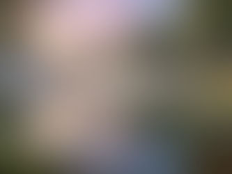 From Noise to Stillness: A Journey to Inner Peace