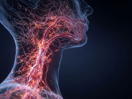 15-Minute Vagus Nerve Healing Routine