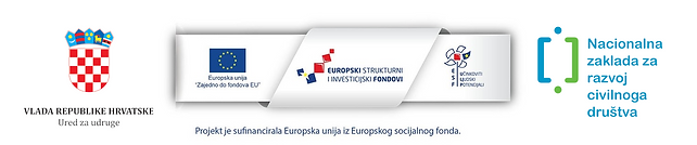 Male organizacije za velike krize