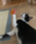 walter..jpg