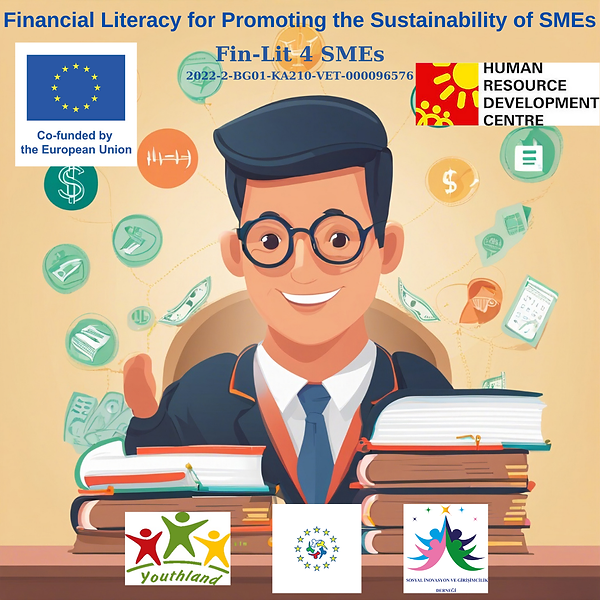 Financial Literacy for Promoting the Sustainability of SMEs.png
