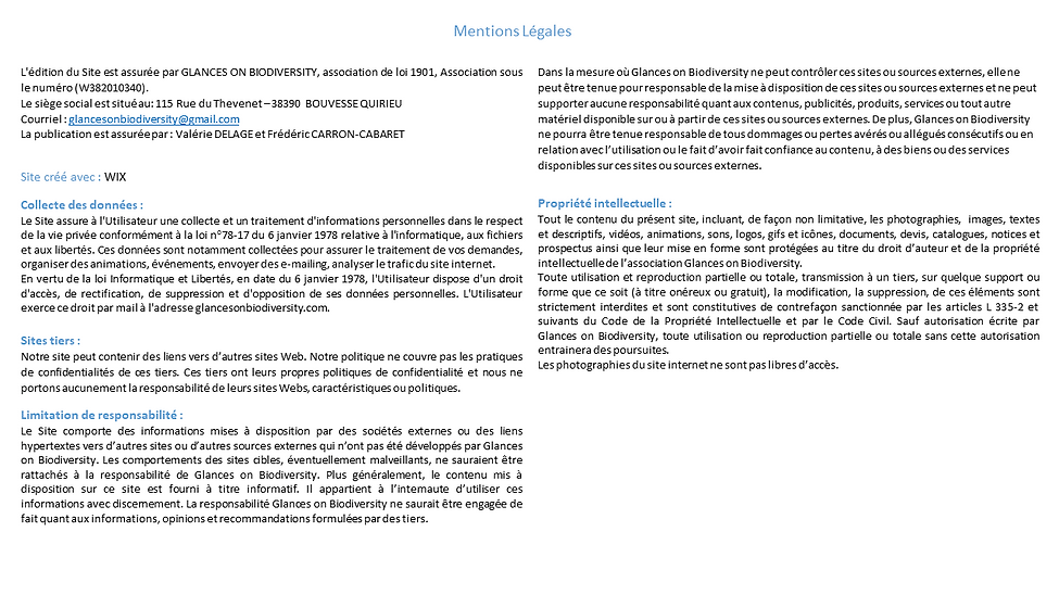 Mentions légales.png
