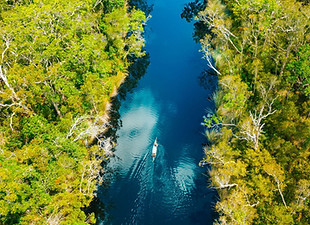 Noosa Everglades.jpg