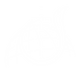 COG_GlobeArt-01 copy.png