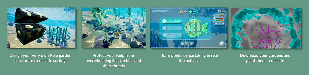 kelp the game.jpg